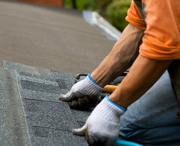 Best New Roof Installation  in Mount Olive, NC