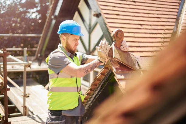 Best Metal Roofing Contractor  in Mount Olive, NC