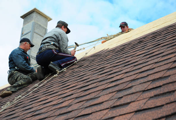 Best Shingle Roofing Installation  in Mount Olive, NC