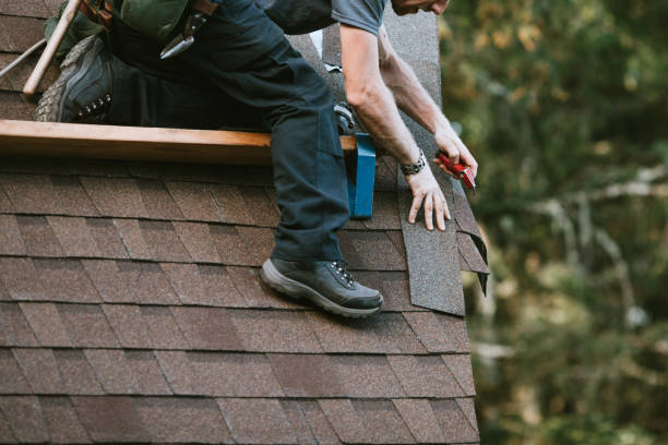 Professional Roofing Contractor in Mount Olive, NC