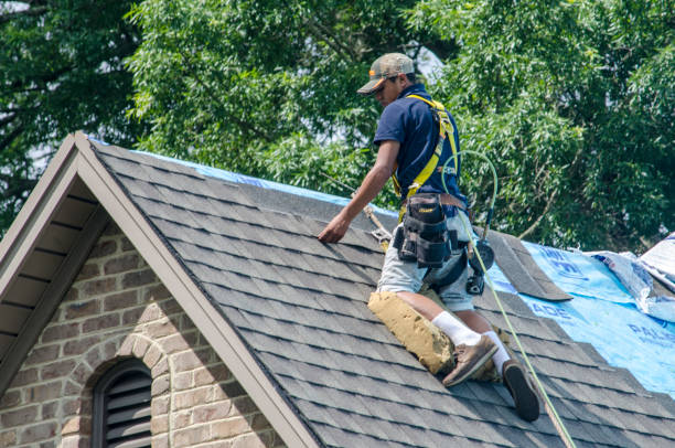Best Roof Replacement Cost  in Mount Olive, NC